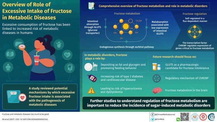 Shi et al 2021 - Fructose: Too Much to be good. Credit - Chinese Medical Journal