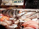 images/itemImages/7376/Fish for sale.jpg